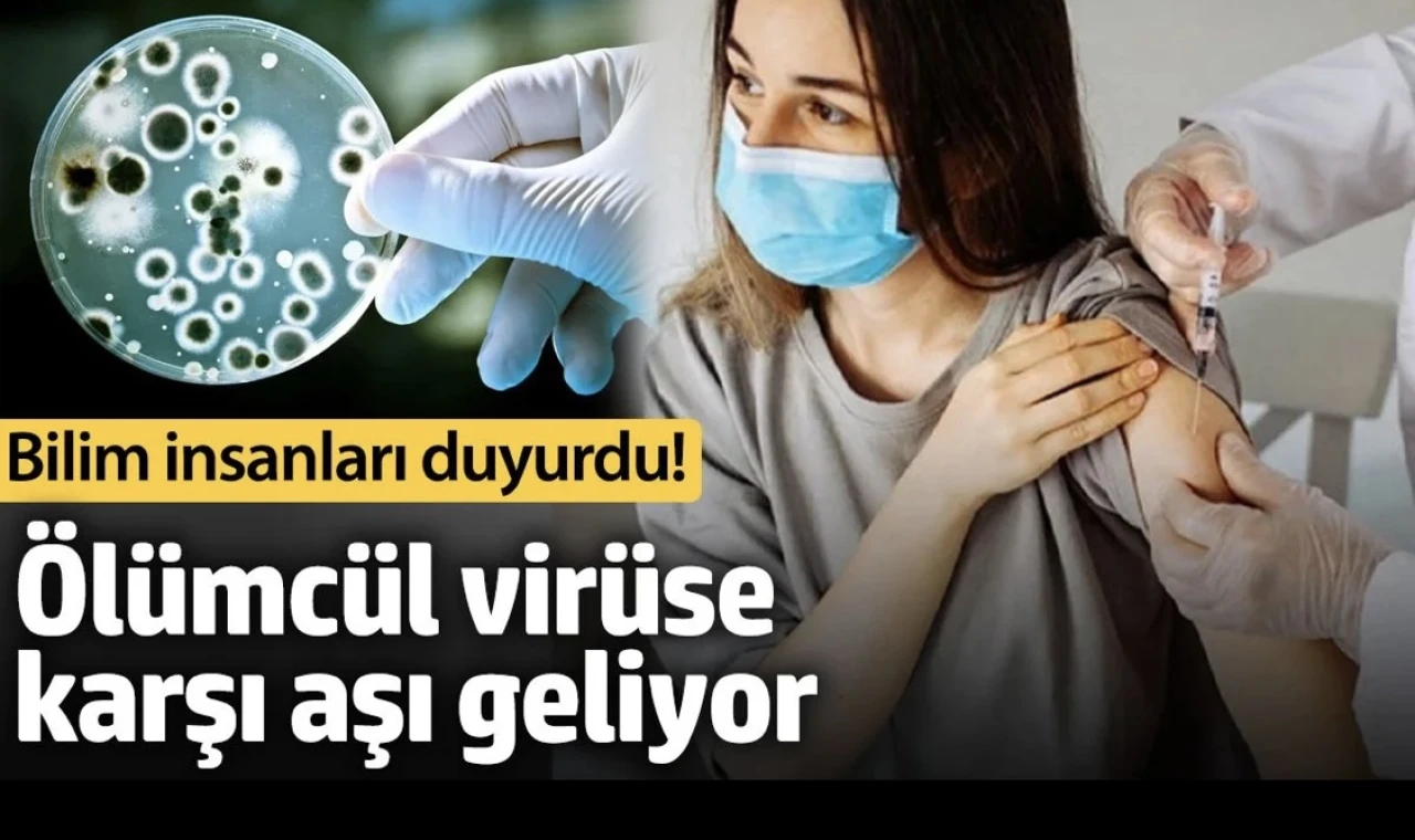 Bilim insanları duyurdu! Ölümcül virüse karşı aşı geliyor