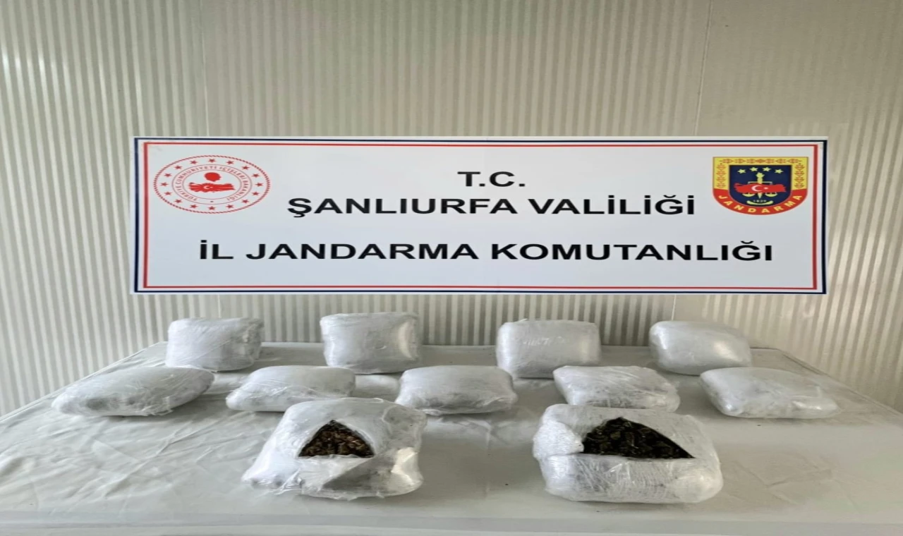 Vali Şıldak duyurdu: Emniyet ve jandarmadan operasyon