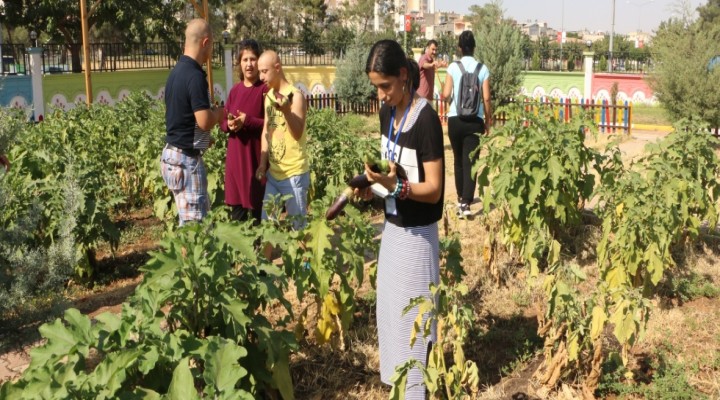 Down sendromlu çocuklara "doğal terapi"