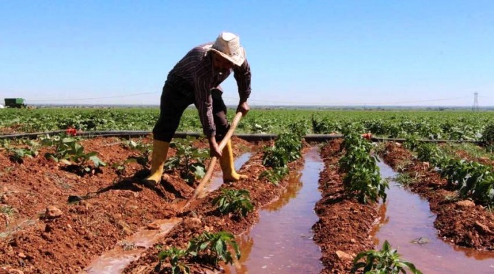 Suruç pompaj sulamasında hedef 548 bin dekar