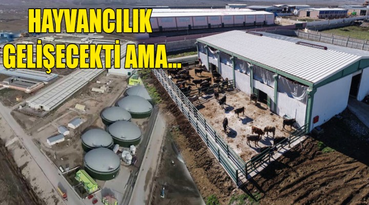 Şanlıurfa'da bu proje 7 yıldır bitmiyor!