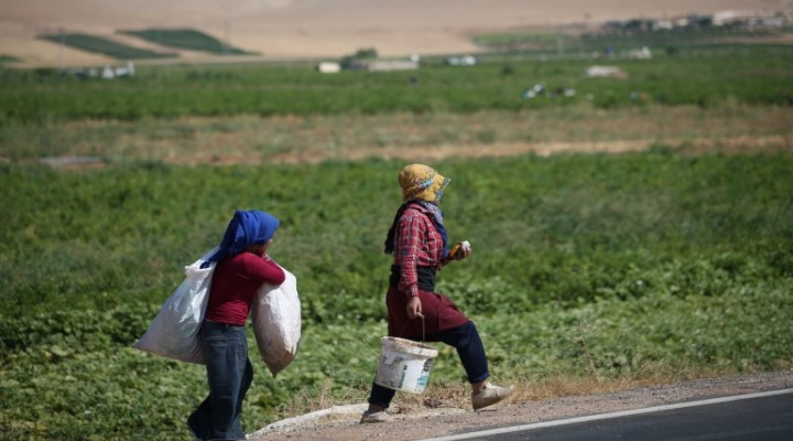 Projeler tamamlanıyor, mevsimlik işçi göçü azalıyor