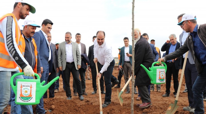 Şanlıurfa'da ağaç seferberliği devam ediyor