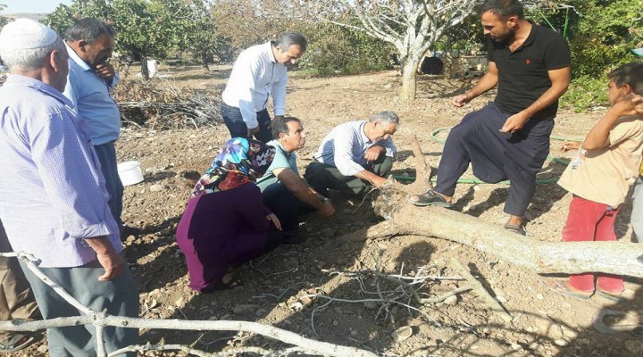 Şanlıurfa’da fıstık yetiştiriciliği eğitimi verildi