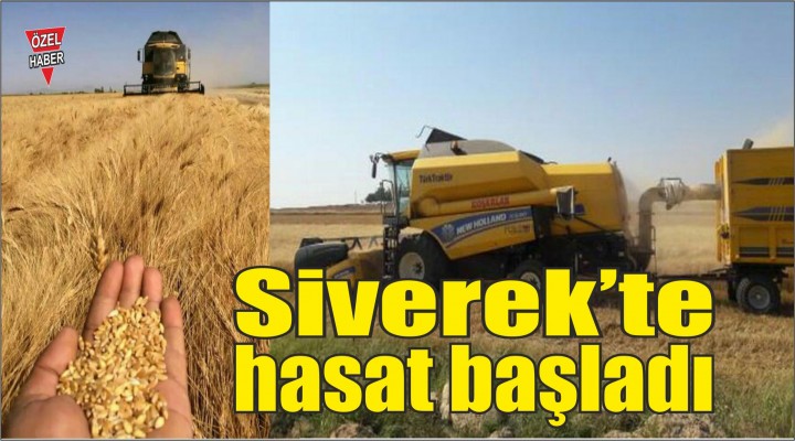 Siverek'te  Hasat Zamanı