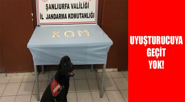 Urfa'da dedektör köpekten kaçmadı