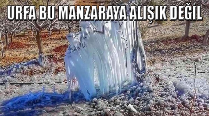 Şanlıurfa, Sibirya soğuklarına teslim oldu