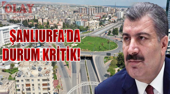 Bakan Koca, Şanlıurfa'daki vaka sayısını açıkladı!