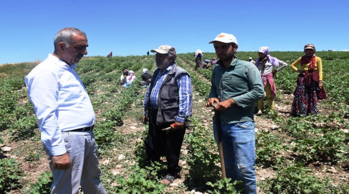 Başkan Bayık,'tan  tarlada çalışan işçilere anlamlı ziyaret