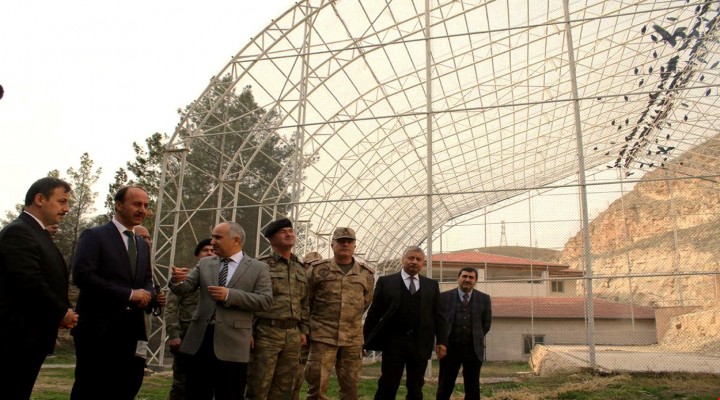 Birecik'te kelaynaklar, üremeleri için doğaya bırakıldı