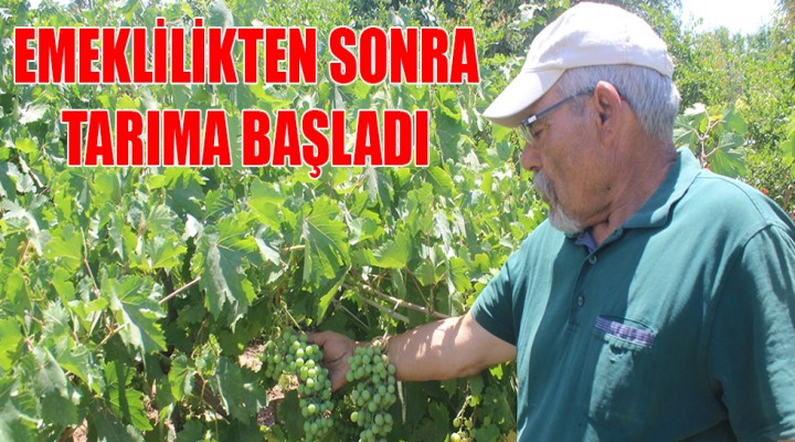 Emekli öğretmen tıbbi bitkiler yetiştiriyor