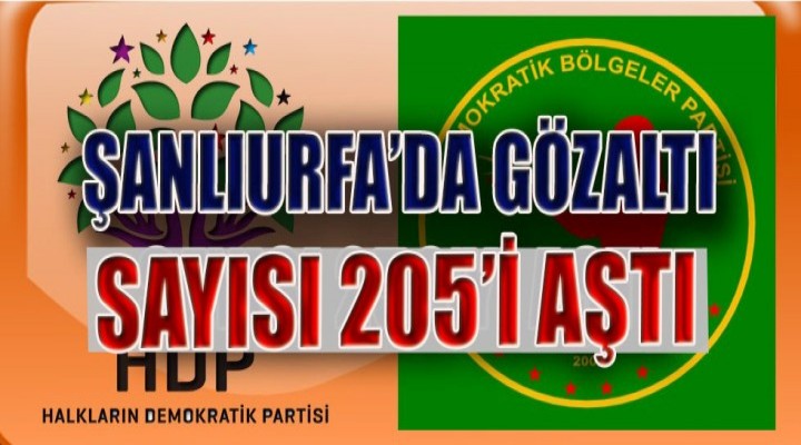 Şanlıurfa’da gözaltı sayısı 206’yı buldu