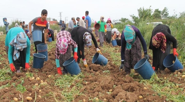 400 bin mevsimlik işçi yollara düşüyor