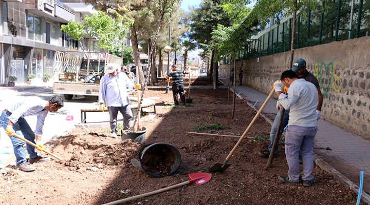 Park ve bahçelerde yenileme sürüyor