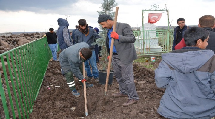 Şehit Orhan İrkarlı'nın mezarında düzenleme yapıldı