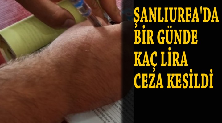 Bir günde yazılan cezaların Bilançosu açıkladı