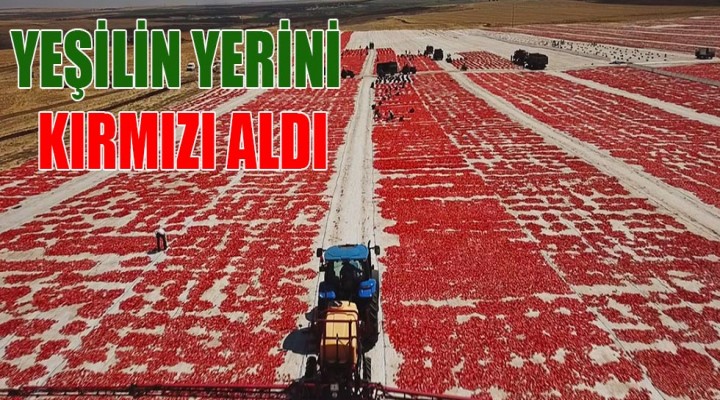 Şanlıurfa'da pamuğun yerini başka ürünler alıyor