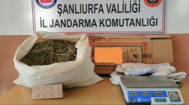 Suruç’ta 6 kilo esrar yakalandı