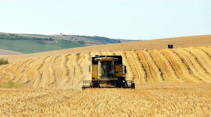 Tarım işsizliği 2,4 puan düşürdü