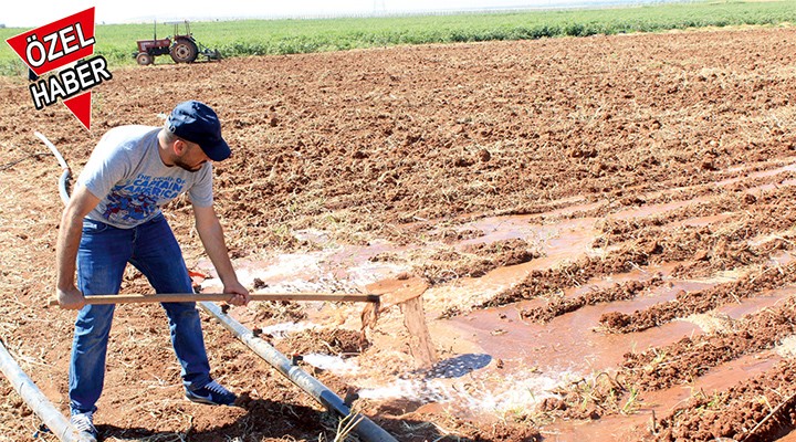 Sulama Birliklerine kayyum bekleniyor!