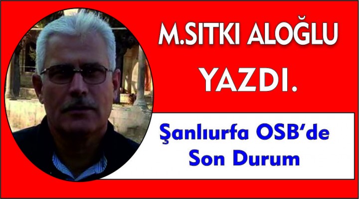 M. Sıtkı Aloğlu köşe yazısı