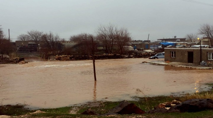 Şanlıurfa'da, tarim arazileri su altında kaldı