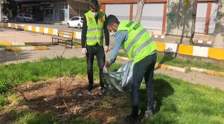 Sokak hayvanları için mama bırakılıyor