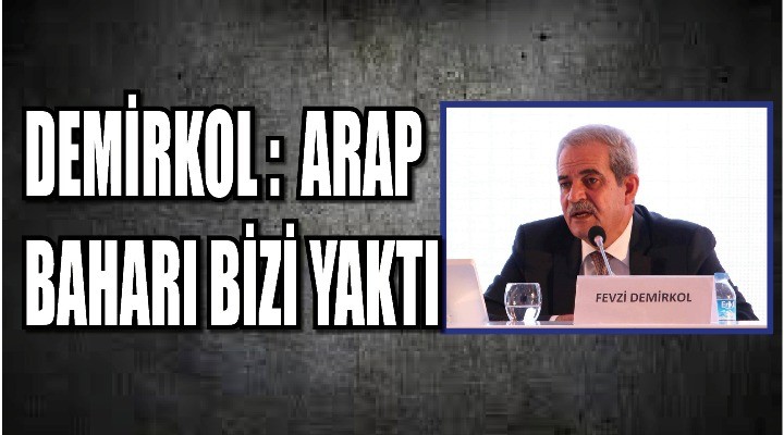 Demirkol: Arap Baharı bizi yaktı