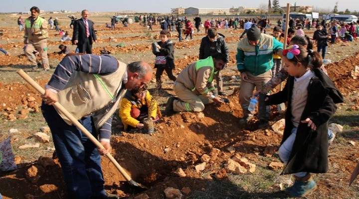 Yemyeşil Haliliye hedefinde çocuklar fidan dikti