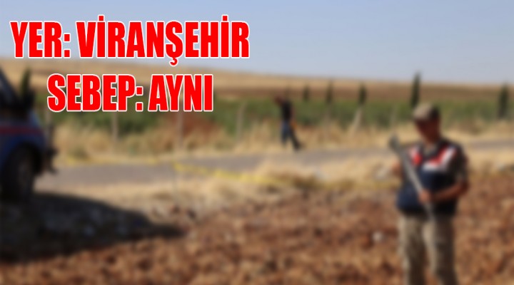 Şanlıurfa'da yine arazi kavgası! 5 yaralı var