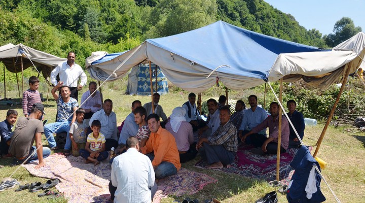 Urfalı işçiler fındık hasadını bekliyor