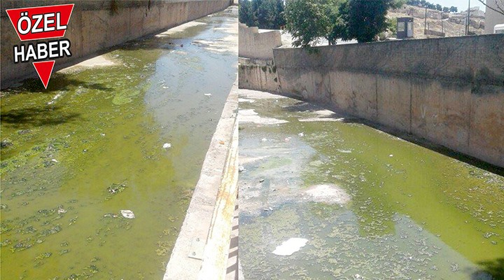 Vatandaşların kötü koku isyanı