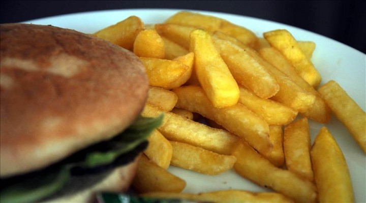 'Ayaküstü beslenme çocukları obez yapıyor' Urfa Haber