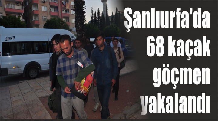 Şanlıurfa'da 68 kaçak göçmen yakalandı