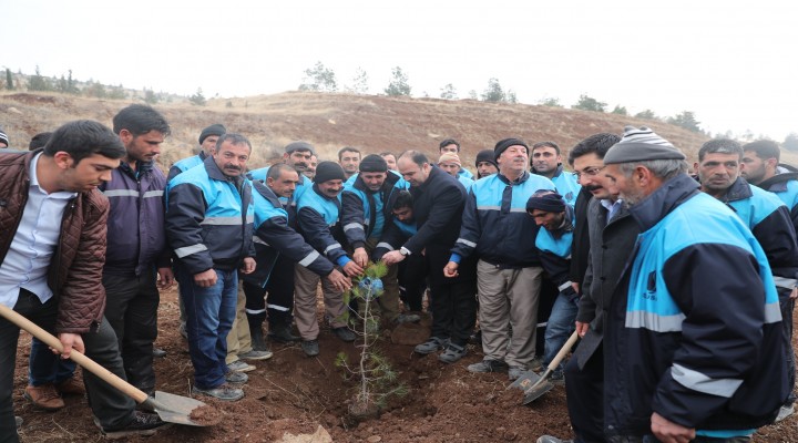 Şanlıurfa, kendi fidanını üretiyor