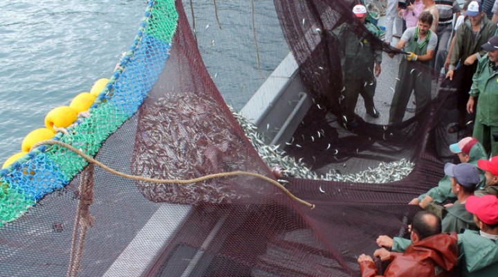 Bakan Fakıbaba'dan Balıkçılık Av Sezonu açıklaması