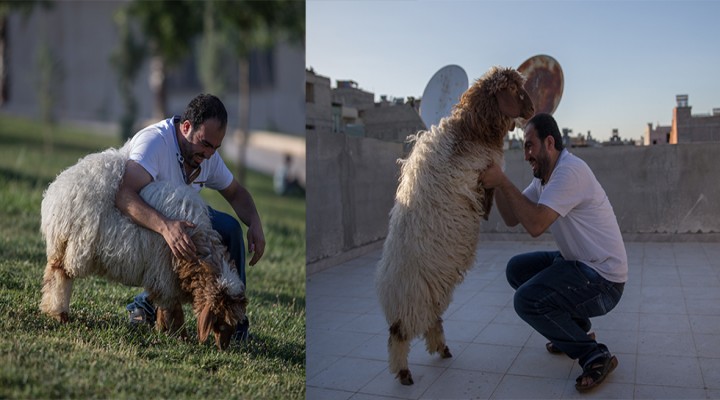 Kuzusuyla dostluğu şaşırtıyor