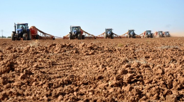 DEDAŞ’a yenik düşen GAP çiftçisi umudu yağmurda arıyor!