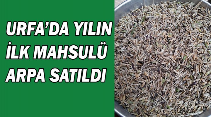 Urfa'da yılın ilk arpası satıldı