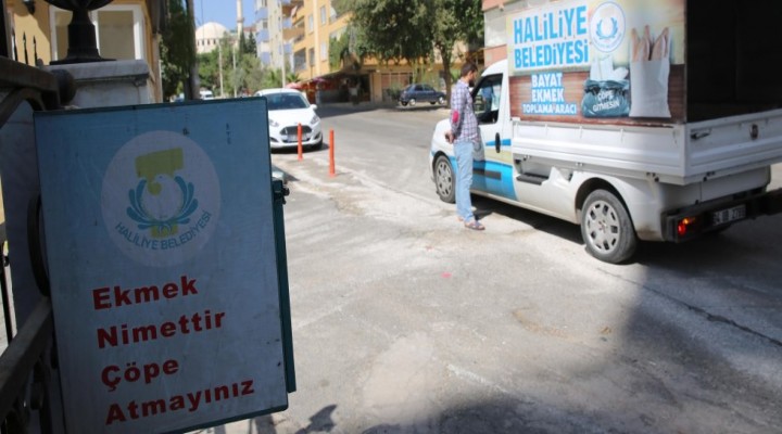 Bayat ekmekler hayvanlar için toplanıyor