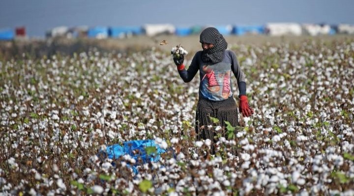 Mevsimlik işçiler için yol haritası