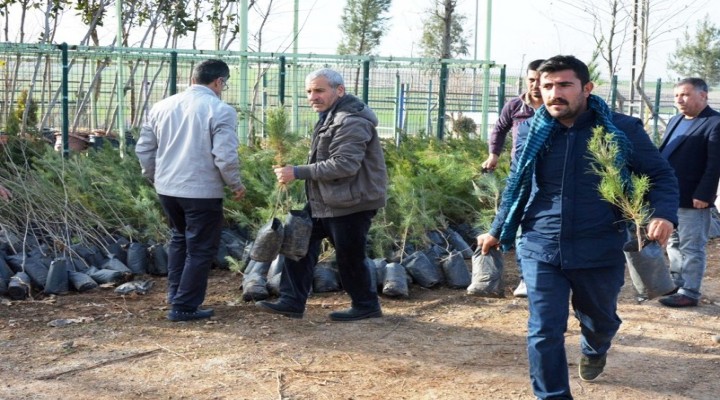 "Severek daha yeşil bir Siverek" kampanyası