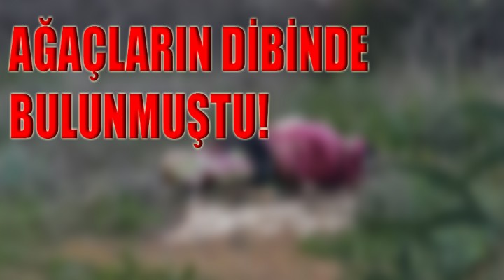 Cesedin kime ait olduğu tespit edildi!