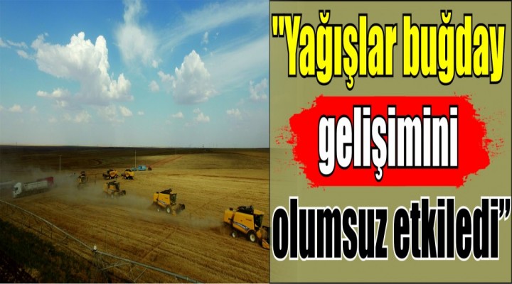 "Yağışlar buğday gelişimini olumsuz etkiledi"