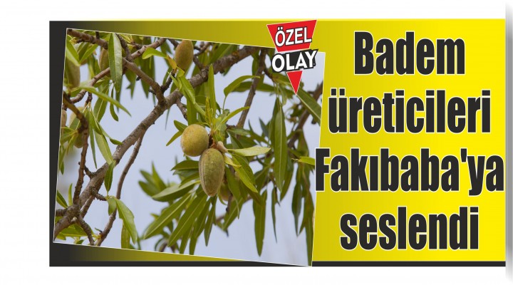 Badem üreticileri Bakan Fakıbaba'ya seslendi