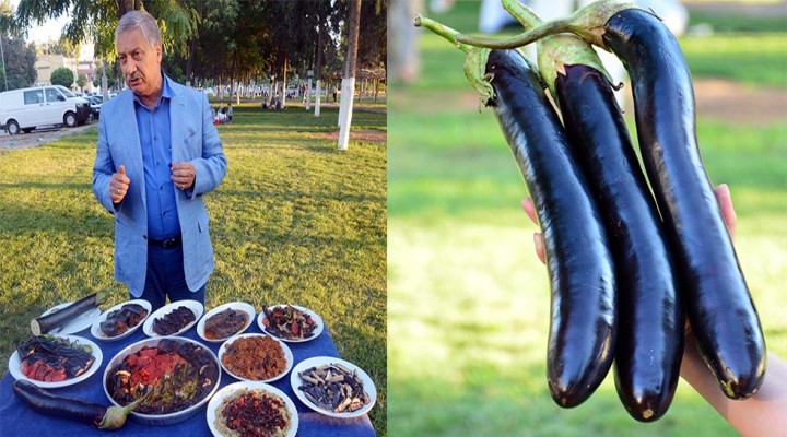 Birecik patlıcanı pazara düştü, sofralar şenlendi