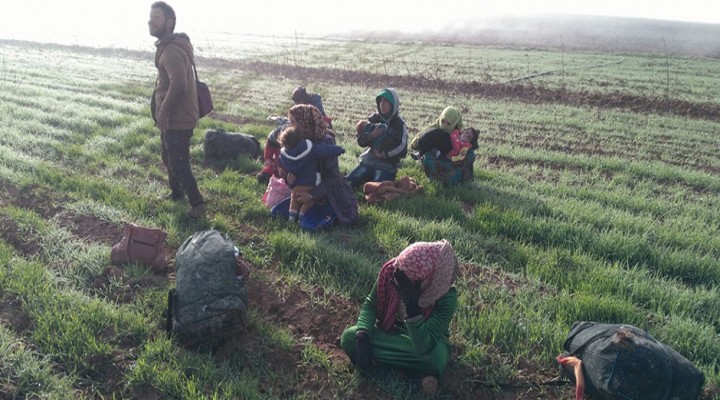 Şanlıurfa'da yakalandılar!