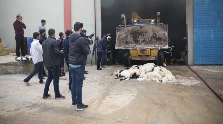 Şanlıurfa'da geri dönüşüm fabrikasında yangın