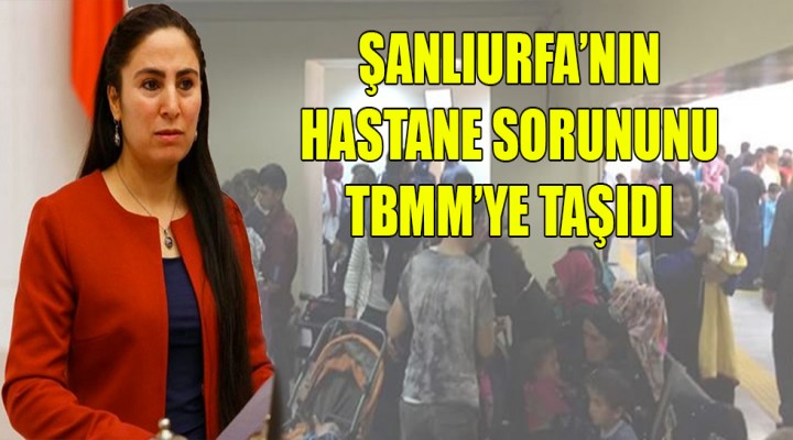 'Şanlıurfa sağlığı için eylem planı var mı?'