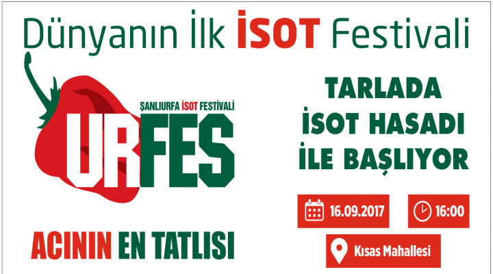 İsot Festivali İsot Hasadıyla Başlıyor